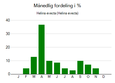 Helina evecta - månedlig fordeling