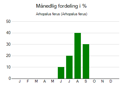 Arhopalus ferus - månedlig fordeling