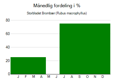 Storbladet Brombær - månedlig fordeling