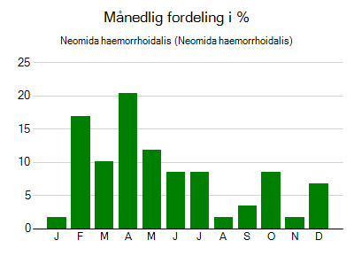 Neomida haemorrhoidalis - månedlig fordeling