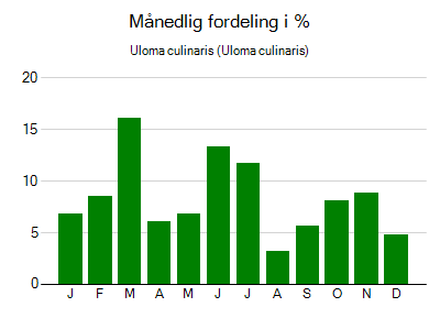 Uloma culinaris - månedlig fordeling