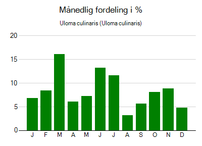 Uloma culinaris - månedlig fordeling