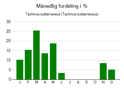 Tachinus subterraneus - månedlig fordeling