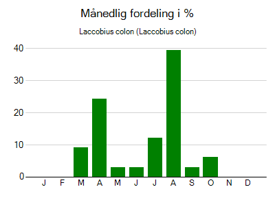 Laccobius colon - månedlig fordeling