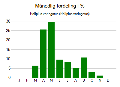Haliplus variegatus - månedlig fordeling