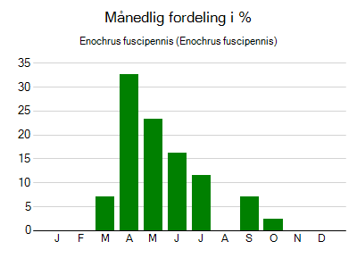 Enochrus fuscipennis - månedlig fordeling