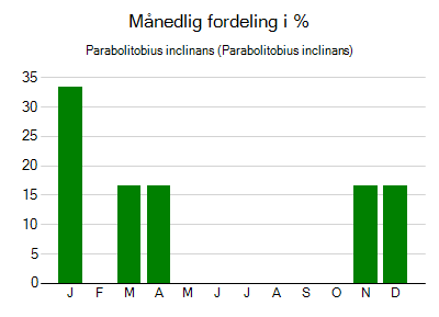 Parabolitobius inclinans - månedlig fordeling