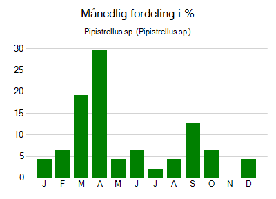Pipistrellus sp. - månedlig fordeling