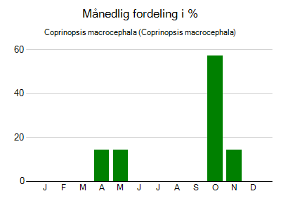 Coprinopsis macrocephala - månedlig fordeling
