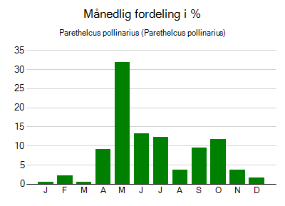 Parethelcus pollinarius - månedlig fordeling