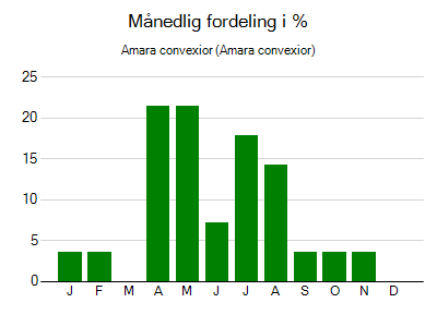 Amara convexior - månedlig fordeling