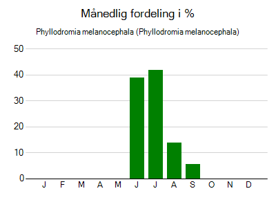 Phyllodromia melanocephala - månedlig fordeling