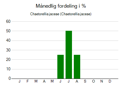 Chaetorellia jaceae - månedlig fordeling