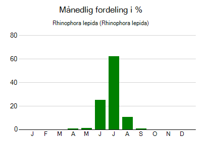 Rhinophora lepida - månedlig fordeling