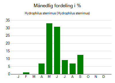 Hydrophilus aterrimus - månedlig fordeling