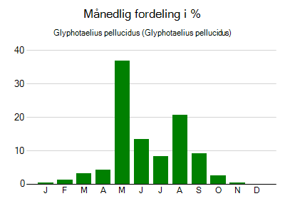 Glyphotaelius pellucidus - månedlig fordeling