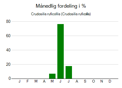 Crudosilis ruficollis - månedlig fordeling