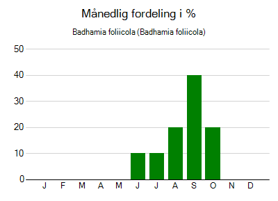 Badhamia foliicola - månedlig fordeling