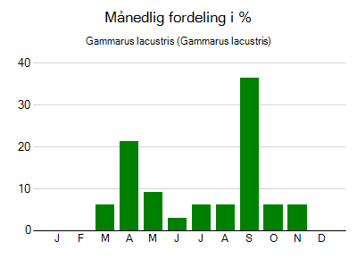 Gammarus lacustris - månedlig fordeling