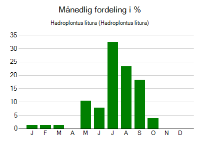 Hadroplontus litura - månedlig fordeling