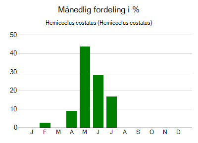 Hemicoelus costatus - månedlig fordeling