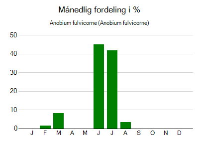 Anobium fulvicorne - månedlig fordeling
