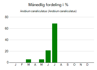 Anobium canaliculatus - månedlig fordeling