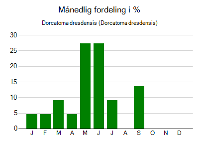 Dorcatoma dresdensis - månedlig fordeling