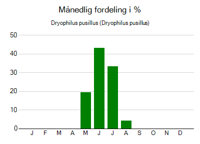 Dryophilus pusillus - månedlig fordeling