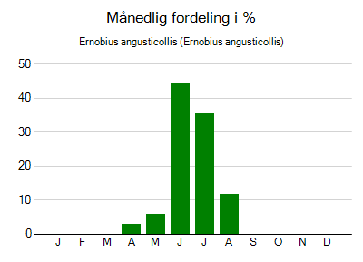 Ernobius angusticollis - månedlig fordeling