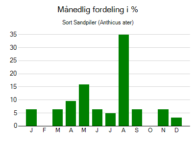 Sort Sandpiler - månedlig fordeling