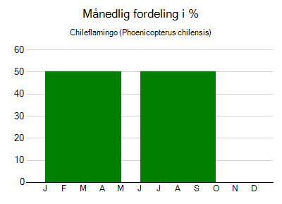 Chileflamingo - månedlig fordeling