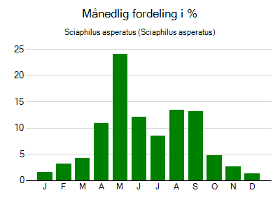 Sciaphilus asperatus - månedlig fordeling