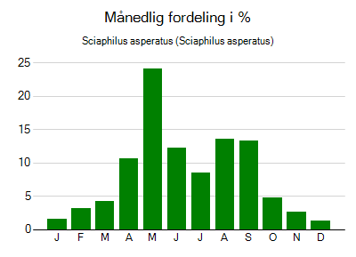 Sciaphilus asperatus - månedlig fordeling