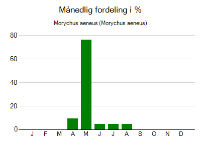 Morychus aeneus - månedlig fordeling