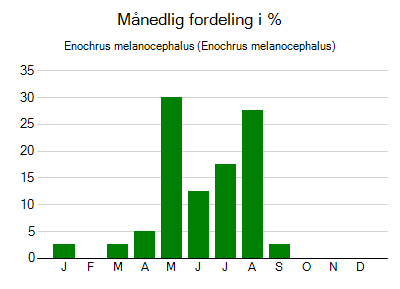 Enochrus melanocephalus - månedlig fordeling
