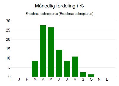 Enochrus ochropterus - månedlig fordeling