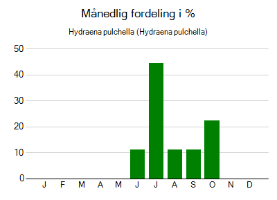 Hydraena pulchella - månedlig fordeling