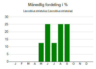 Laccobius striatulus - månedlig fordeling