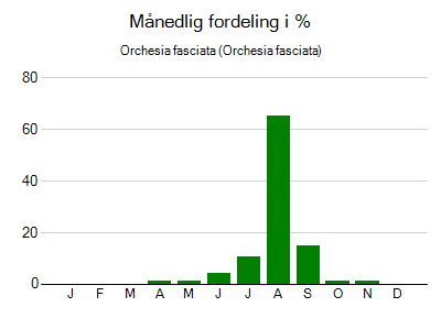 Orchesia fasciata - månedlig fordeling