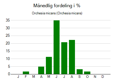 Orchesia micans - månedlig fordeling