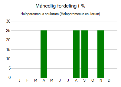Holoparamecus caularum - månedlig fordeling