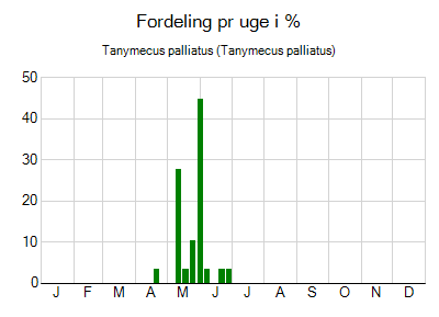 Tanymecus palliatus - ugentlig fordeling