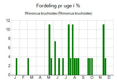 Rhinoncus bruchoides - ugentlig fordeling