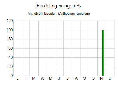 Anthobium fusculum - ugentlig fordeling