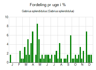 Gabrius splendidulus - ugentlig fordeling
