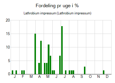 Lathrobium impressum - ugentlig fordeling