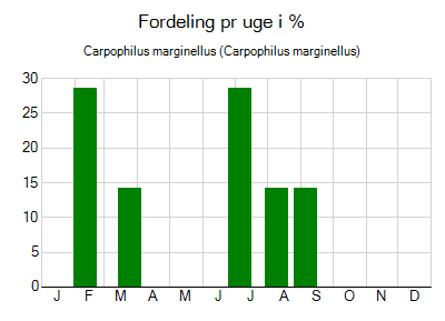 Carpophilus marginellus - ugentlig fordeling