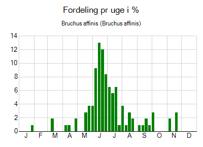Bruchus affinis - ugentlig fordeling