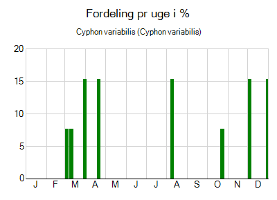 Cyphon variabilis - ugentlig fordeling